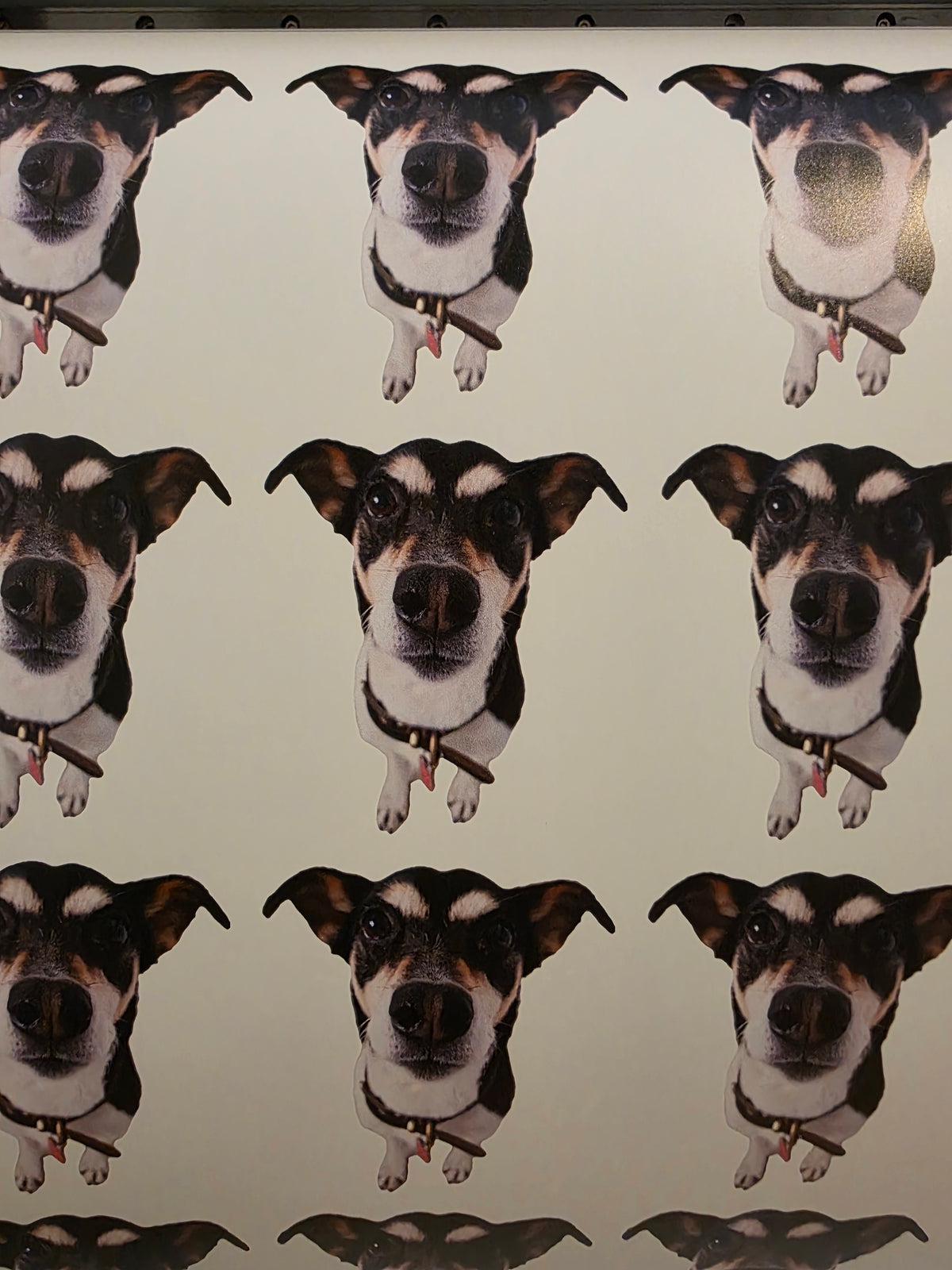 Custom Premium Matte Vinyl Stickers
